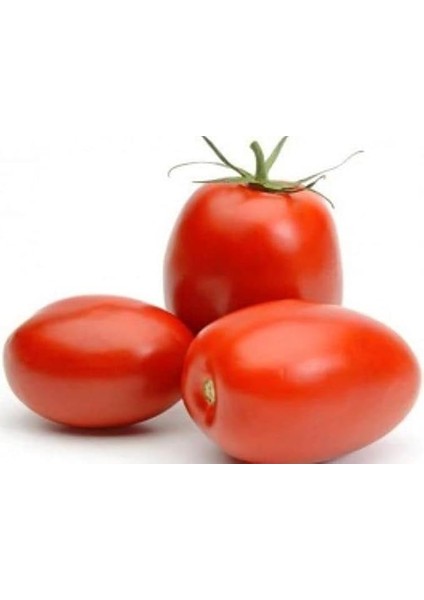 Domates Rio Tohumu - Aksel 10 gr