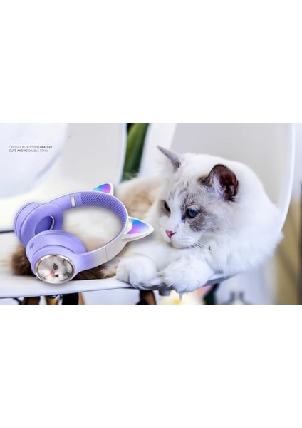Bluetooth Kulaklık Peluş Kedi Tasarımlı Kulakları Işıklı Kablosuz Şık ve Canlı Renkli Kulak Üstü Kulaklık ve Ios Uyumlu Kedi Tasarımı ile Tarzını Yansıt Akz-09 Yeşil Renk (Yeşil) fiyatları