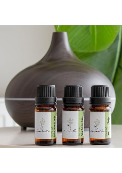 Shamballa Defne Yaprağı Yağı-Çay Ağacı Yağı-Lavanta YAĞI%100 Saf Uçucu Yağ modelleri