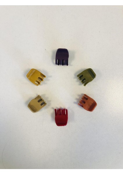 Kadın ve Çocuk Minik ( 2 cm ) Mandal Toka Seti