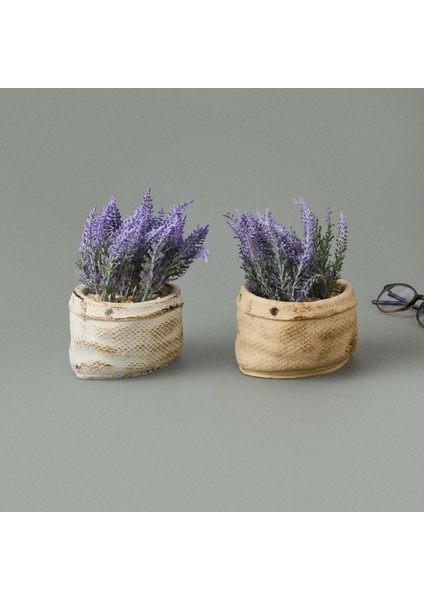 Çuval Saksıda Kır Lavantası - Asorti - 13X9X9 cm fiyatları