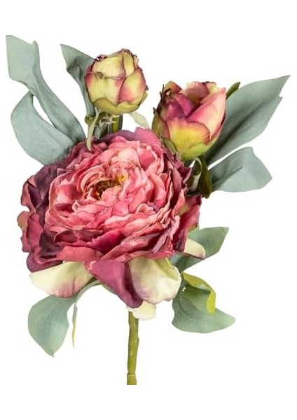 Yapay Çiçek Şakayık Gül Kurusu 62 Cm. modelleri