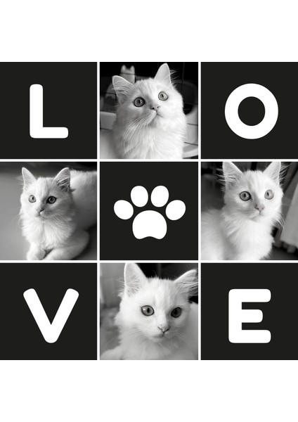 Kedi Oyuncak Seti 4' Lü fiyatları