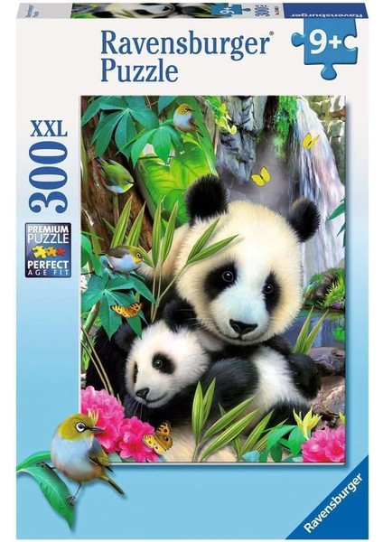 13065 – Aynı Şekilde M Giyen