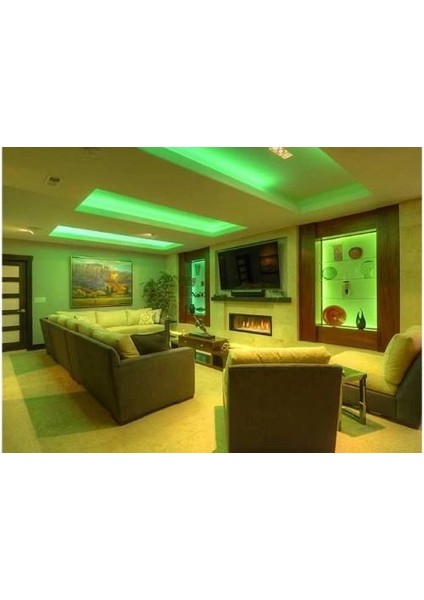 5 Metre Cata Ct 4483 10 Çip Iç Mekan Şerit LED Yeşil 12V modelleri