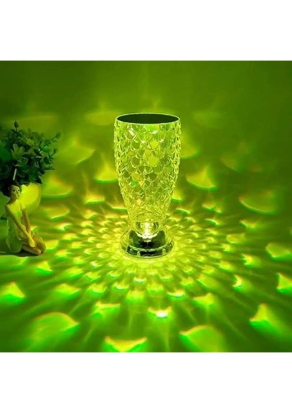 Leyloş Balık Süzgeç Model USB Şarjlı Kumandalı 16FARKLI Işık Modlu Masa Üstü Kristal Akrilik LED modelleri