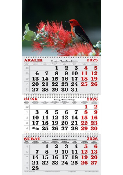 2026 Yılı Gemici Takvimi- Kızıl Bal Kuşu