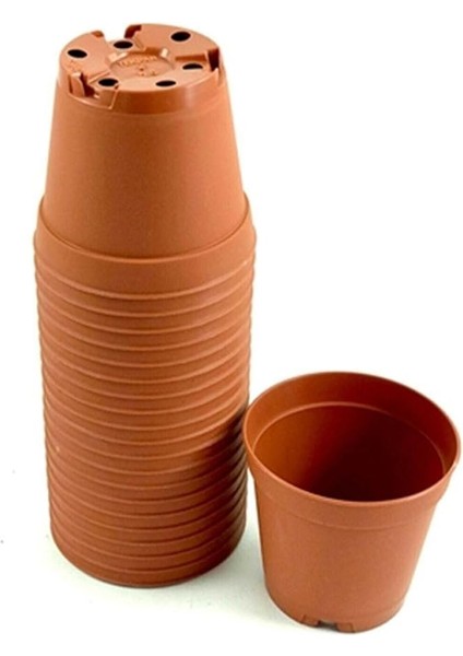 Botanik Serinova Kaktüs & Sukulent Üretim Saksı 8 cm Orta Boy 20 Adet (80X69)