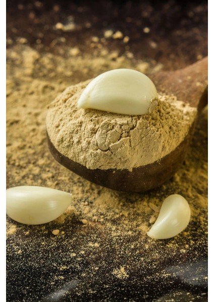 Litaetrend Sarımsak Tozu Deluxe Seri Organik Lezzetli 100 gr fırsatları