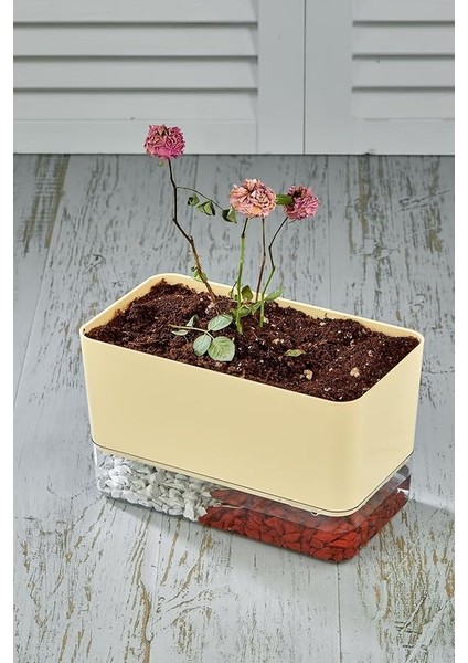 Flower Akıllı Çiçek Saksı - Hidro Saksı (Kendi Kendine Sulama Yapar) fiyatları