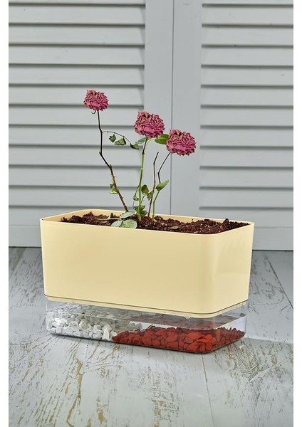 Flower Akıllı Çiçek Saksı - Hidro Saksı (Kendi Kendine Sulama Yapar) modelleri