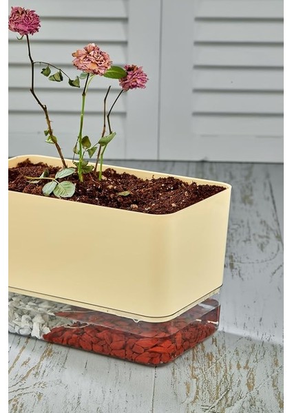 Flower Akıllı Çiçek Saksı - Hidro Saksı (Kendi Kendine Sulama Yapar) fırsatları