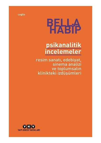 Psikanalitik Incelemeler