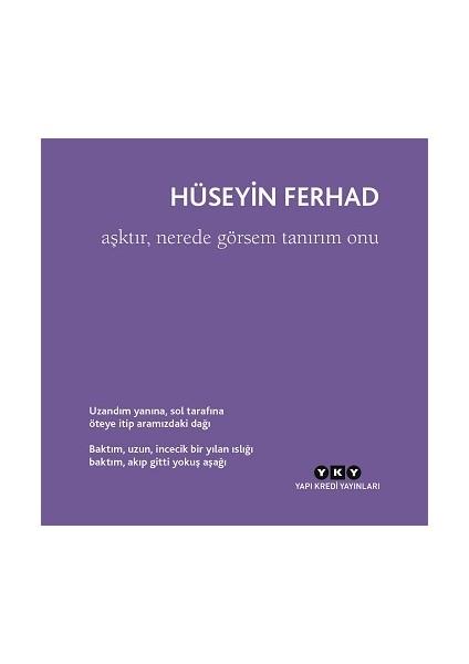 Aşktır, Nerede Görsem Tanırım Onu