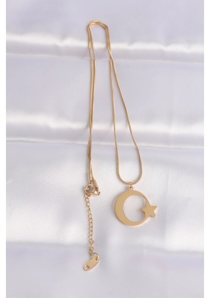 Bfs 316L Çelik Zincir Gold Renk Ay Yıldız Unisex Kolye fiyatları
