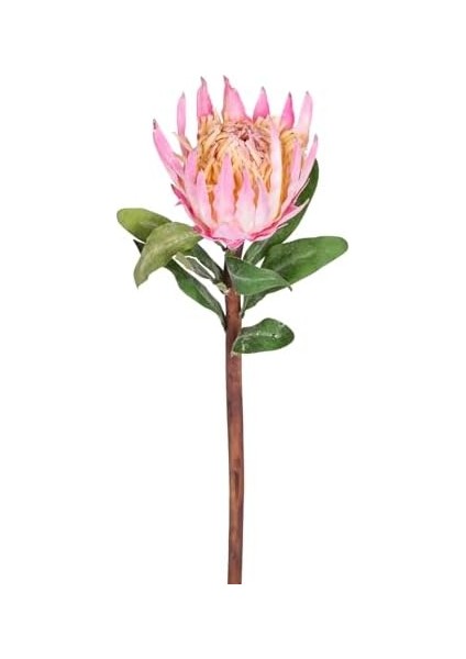Yapay Protea Çiçeği Pembe 60 Cm. fiyatları