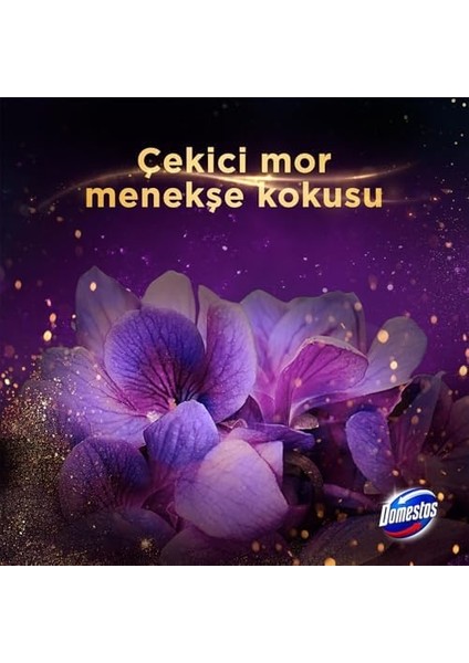 Domestos Tuvalet Bloğu Aroma Lux Hibiskus & Kırmızı Meyveler 100 G fiyatları