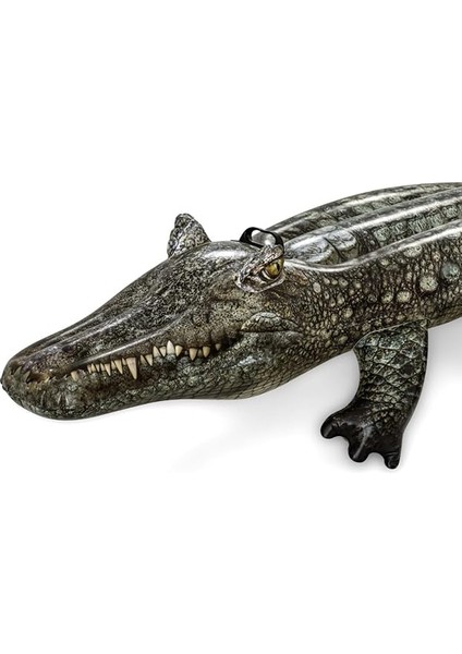 Piscina Y Playa Baby Boy Havuz modelleri