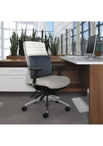 Ortopedik Ofis Koltuk Sandalye Bel Destek Yastık Minderi Sırt Dayama Yastığı