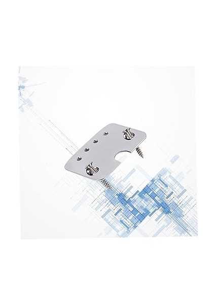 2 Takım Metal Kuyruk Parçası Vidaları Elektrik Gitar Kuyruk Parçası Kiti Kolay Kurulum Kutusu Gitar Vidaları 4 Telli 2 modelleri