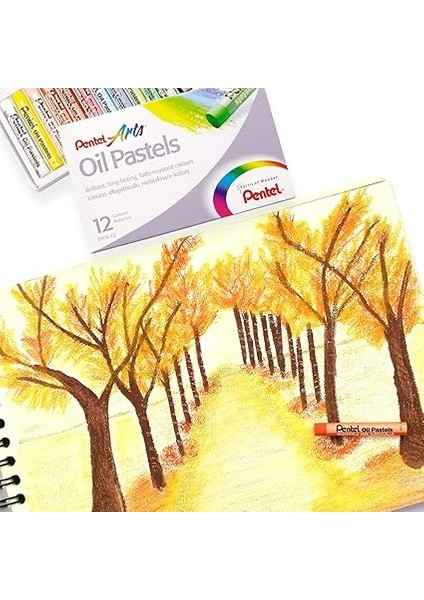 Arts 12LI Yağlı Pastel Boya fırsatları