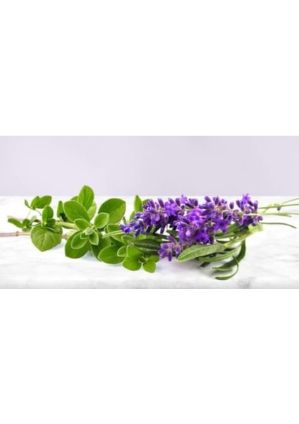 Eyüp Sabri Tuncer Doğal Karabaş Otu, Lavanta ve Kekik Özlü Diş Macunu, 90ML fiyatları