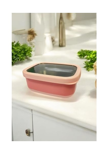 Ahmet Dikdörtgen Saklama Kabı 1,40 L Pembe VP-930, Pembe fiyatları