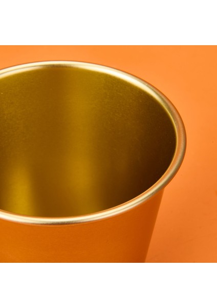 Paslanmaz Saksı - Gold - 12X10 cm modelleri