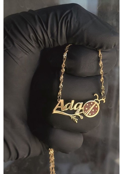 925 Ayar Gümüş 24 Ayar Altın Kaplama Isimli Uğur Böcekli Kolye