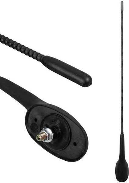 -250 Palio-Siena Düz Tepe Anten