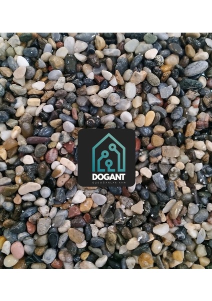 Karadeniz Tararyum Fanus Saksı Dere Çakıl Taşı 2 kg