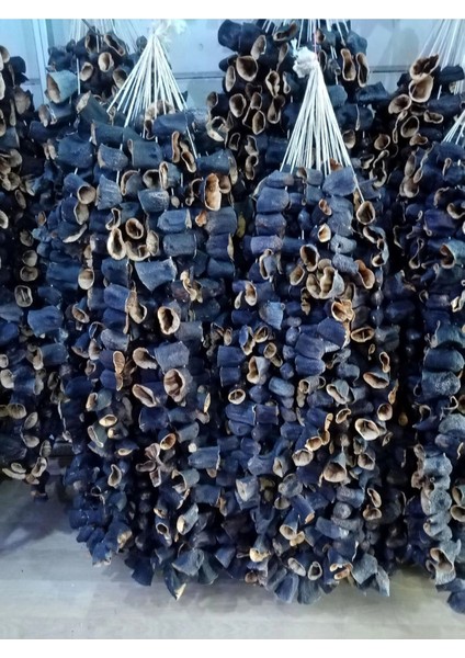 Gaziantep Yeni Mauhsul Patlıcan Dolmalık 1 Dizi (25)