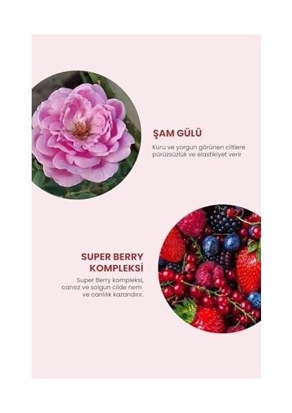 Deoproce Adenozin Içeren Göz Altı Koyu Görünümü Gideren Kırışıklık Karşıtı Göz ve Boyun Kremi 10 ml