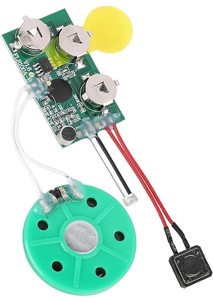 Kaydedilebilir Sesli Ses Çip Modülü, Işık ile Dıy Tebrik Kartı, 60 Saniyelik Kayıt, Değiştirilebilir Pil, Dıy Kartları Için Uygun, Hediyeler modelleri