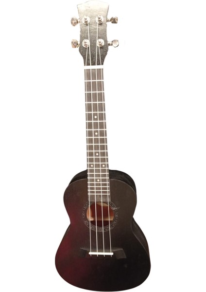 Siyah Concert Ukulele