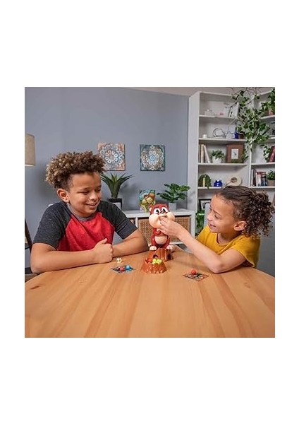 Obur Sincap fiyatları