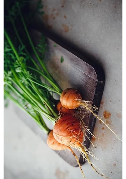 Topak Havuç Tohumu / 40 Adet Havuç Tohumu fiyatları