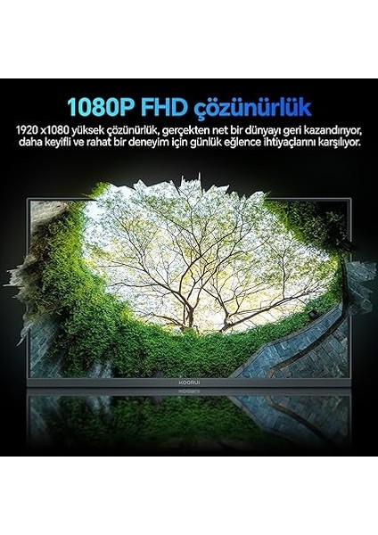 E2412F 24 Inç Monitör Full Hd, 100 Hz, 5ms, Göz Konforu, Srgb%99 Farbumfangs, (1920 x 1080, Hdmı, Vga, Neigbar, Vesa 75X75) modelleri