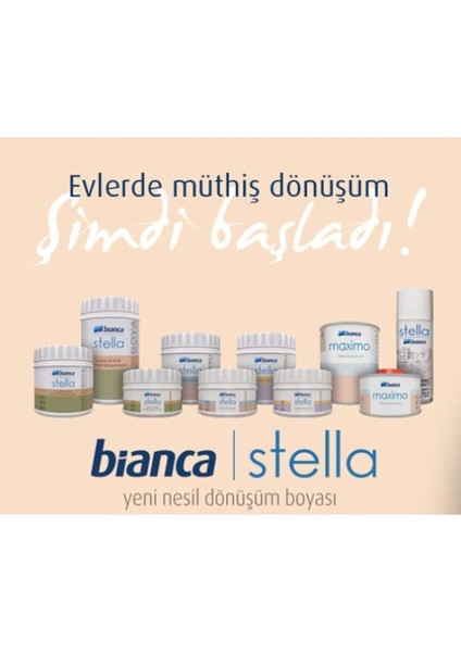Bianca Stella Dönüşüm Boyası 0.5 Lt Antrasit Gri modelleri