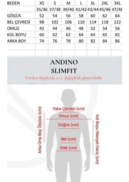Slimfit Lacivert Çizgili Erkek Gömlek Likralı Dar Kesim Yapısıyla AS0742069-02