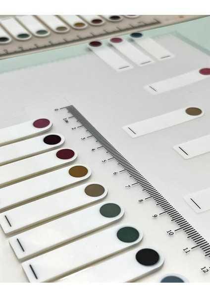 Gemi Dükkan 10 Renkli Cetvelli Şeffaf Indeks/ındex Sticker/post-It/sticky Note Yuvarlak Kenar Retro Renkler