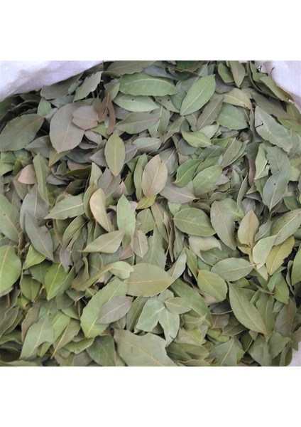 Defne Yaprağı 1. 50 gr