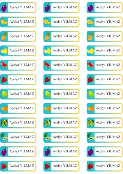 Isimli Okul Etiketi Defter Kitap Kalem Sticker (5x1.5 Cm) 100 Adet (Meyve)