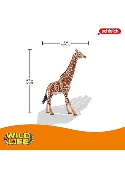 Life-Erkek Zürafa modelleri