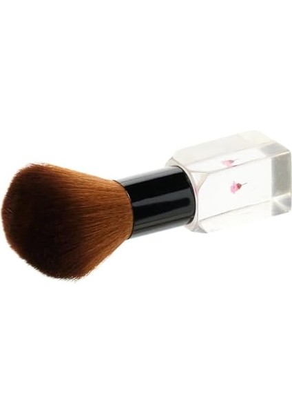 Nascita Allık Fırçası Kutulu