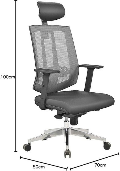 Ofis Tiffany Bel Destekli Müdür Koltuğu - Antrasit fiyatları