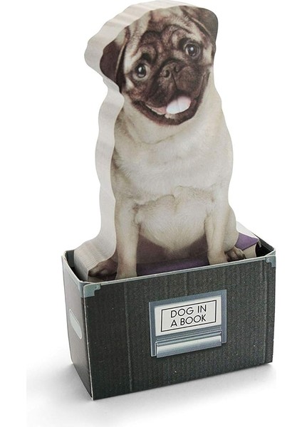 M16079A Dog In A Box Yapışkanlık Not Kağıdı, Renkli