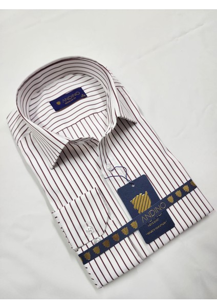 Regularfit Bordo Çizgili Erkek Gömlek Likralı Esnek Kumaş Yaka Alttan Düğmeli AR0720711-11 fırsatları