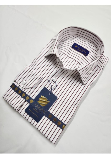 Regularfit Bordo Çizgili Erkek Gömlek Likralı Esnek Kumaş Yaka Alttan Düğmeli AR0720711-11 indirimleri