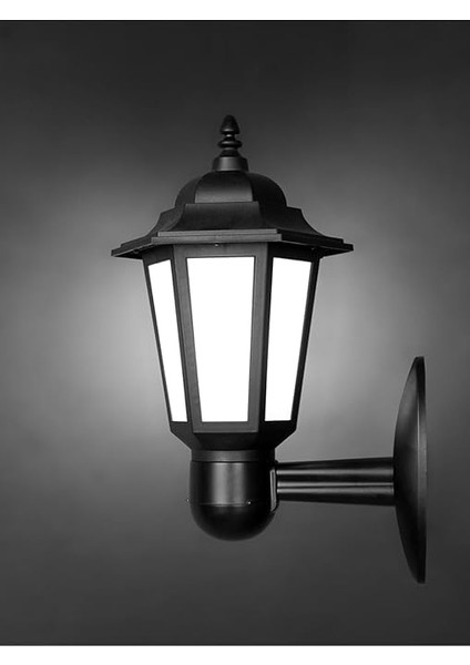 Geldi Zita Bahçe Aydınlatması Klas Aplik Bahçe Aydınlatma Dış Mekan Aplik Bahçe Lambası modelleri